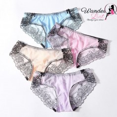 Plus-sized Lace Panties