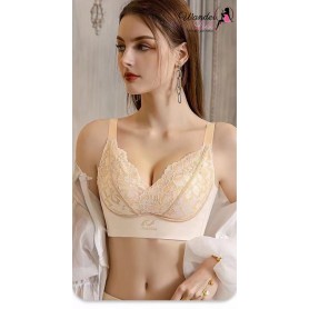 Sexy-V Premium Lace & Satin Bra