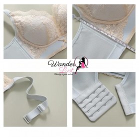 Premium Vintage Lace Push-up Bra