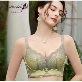 Premium Vintage Lace Push-up Bra