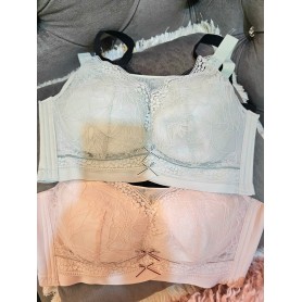 Elegant Lace Double Ribbon C/D Bra