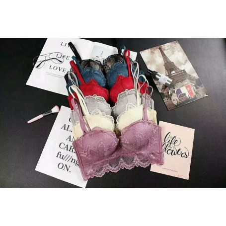 Lace Queen Bra 1805