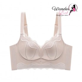 Silky Sexy Premium Push-up Bra