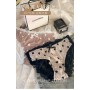 Hearts Silk Lacy Panties