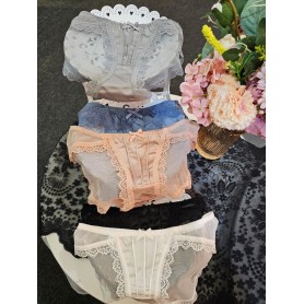 Carryn Silky Mesh Panties