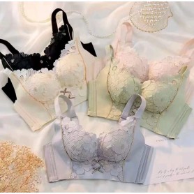 Daisy Floral Lace Premium Bra