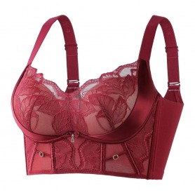 Luxury Lace Quantum Premium Bra