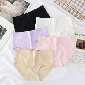 5088 Sealess Panties