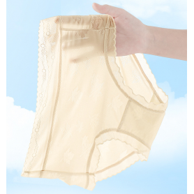 Ultra Thin Ice Silk Mid Waist Panties 680819