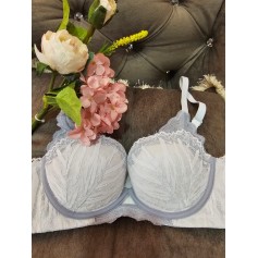 Scallop Premium Bra 230911