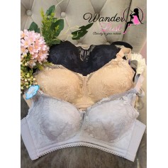 Premium Lace Bra 6035